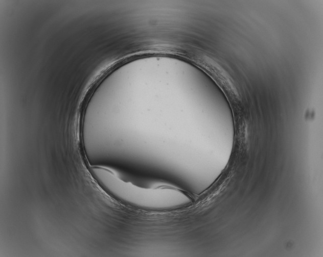 X0000093771180200711061127