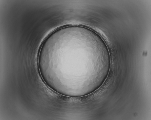 X0000093771183200711061127