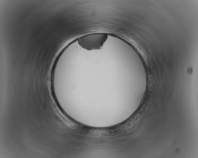 X0000093771187200711061127