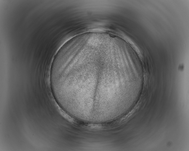 X0000093771194200711061127