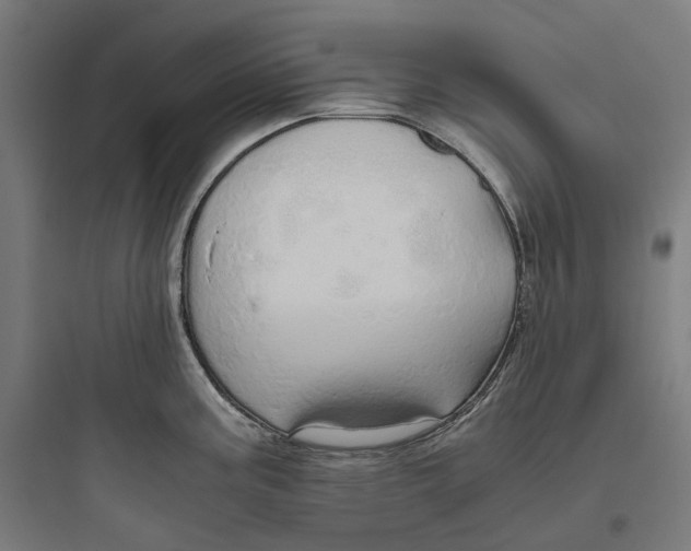 X0000093771195200711061127