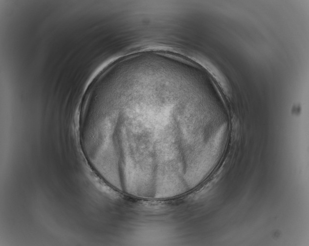 X0000093771198200711061127