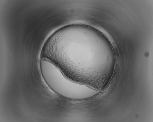 X0000093771199200711061127