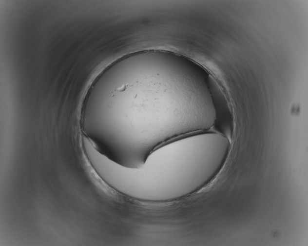 X0000093771200200711061127