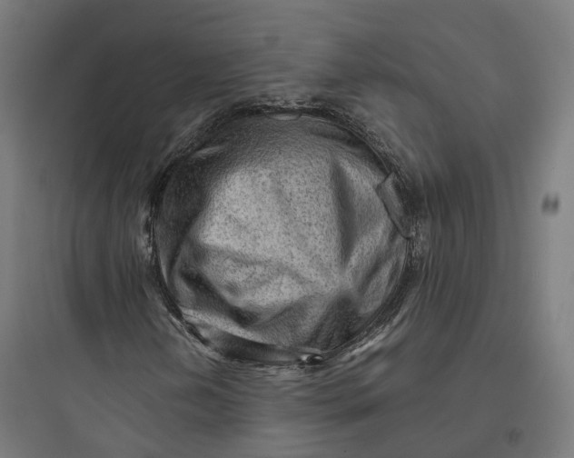 X0000093771202200711061126