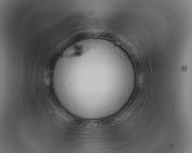 X0000093771204200711061126