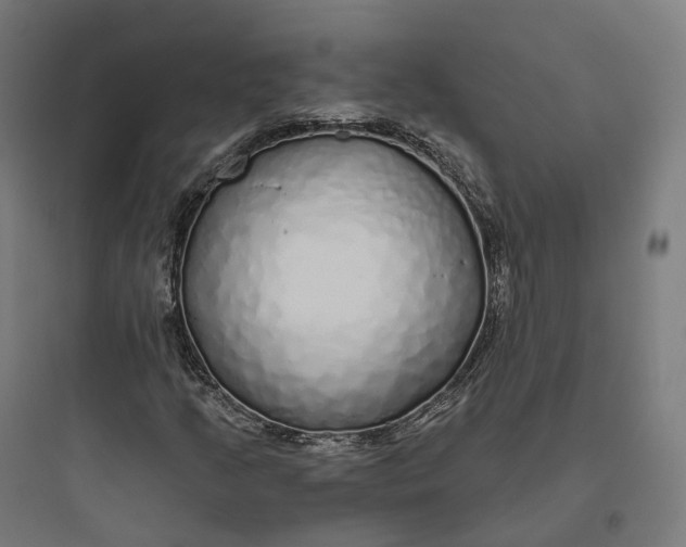 X0000093771205200711061126