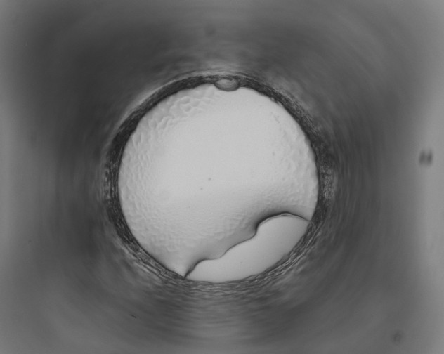 X0000093771208200711061126