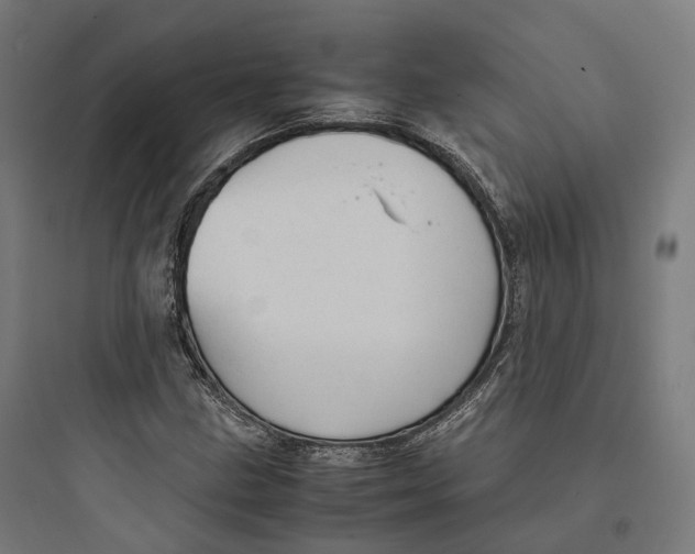 X0000093771211200711061126