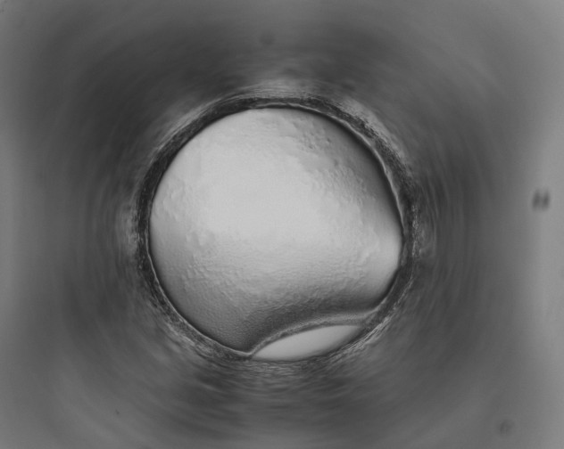 X0000093771213200711061126