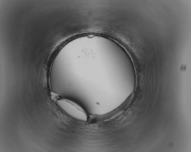 X0000093771214200711061126