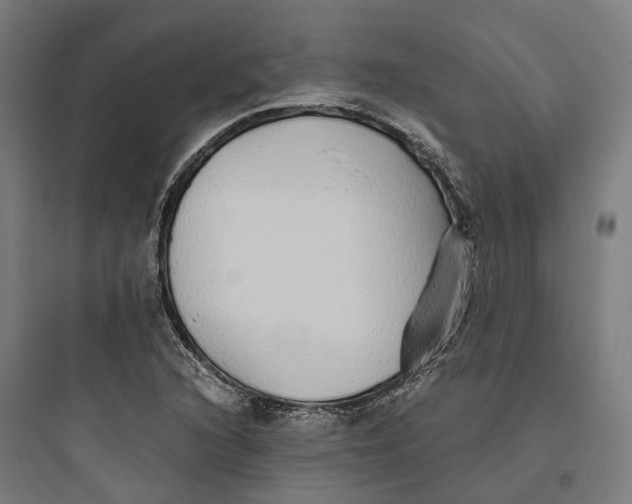 X0000093771216200711061126