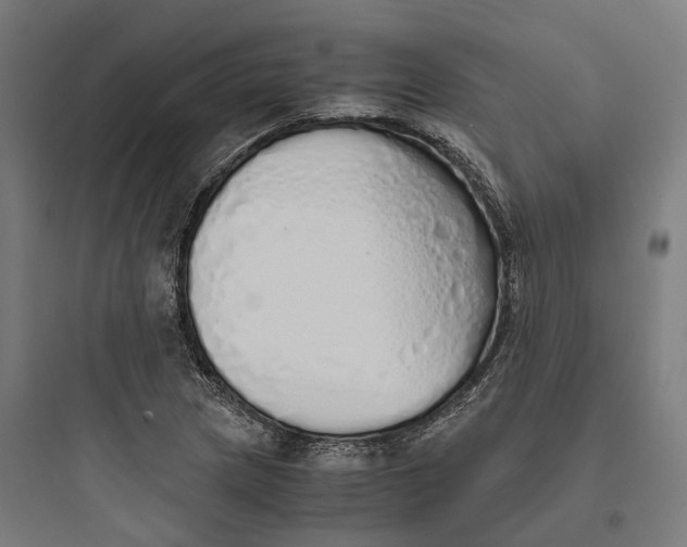 X0000093771217200711061126