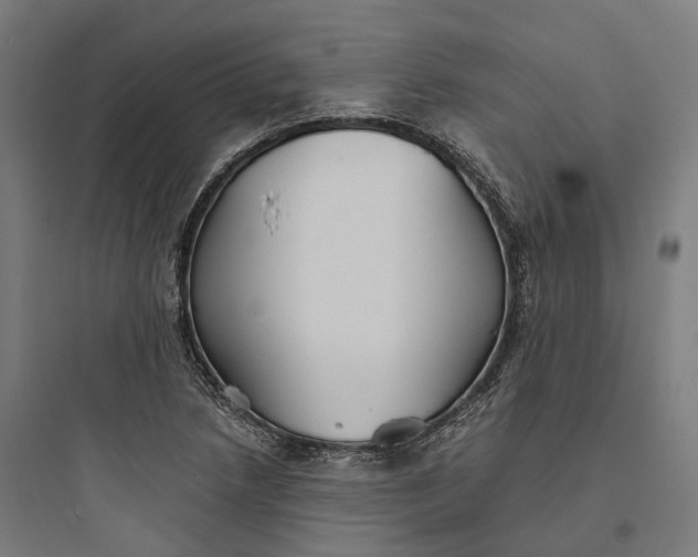 X0000093771218200711061126