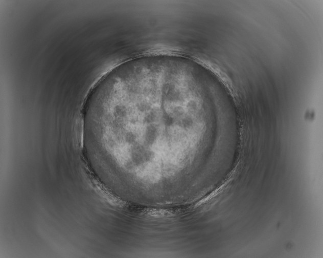 X0000093771219200711061126