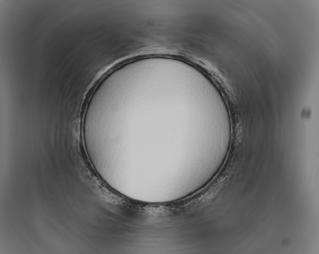 X0000093771220200711061126