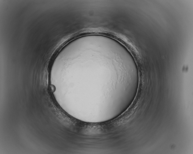 X0000093771221200711061126