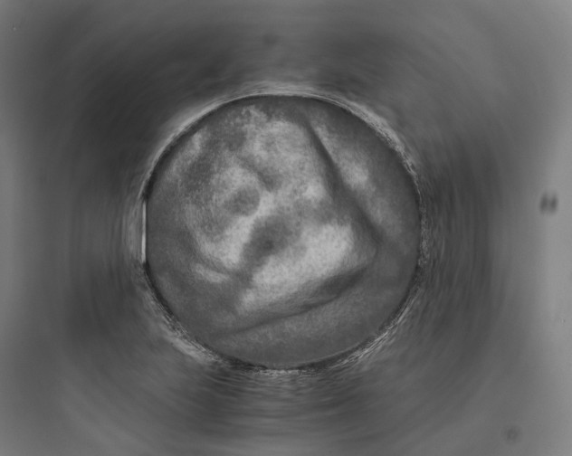 X0000093771223200711061126