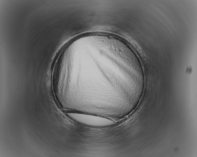 X0000093771224200711061126