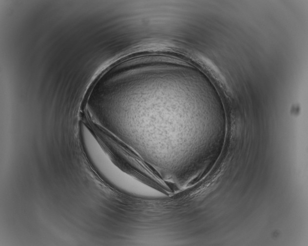 X0000093771226200711061126