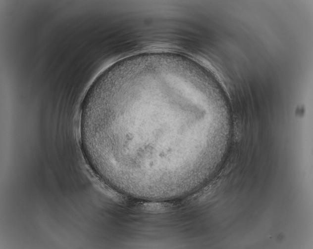 X0000093771227200711061126