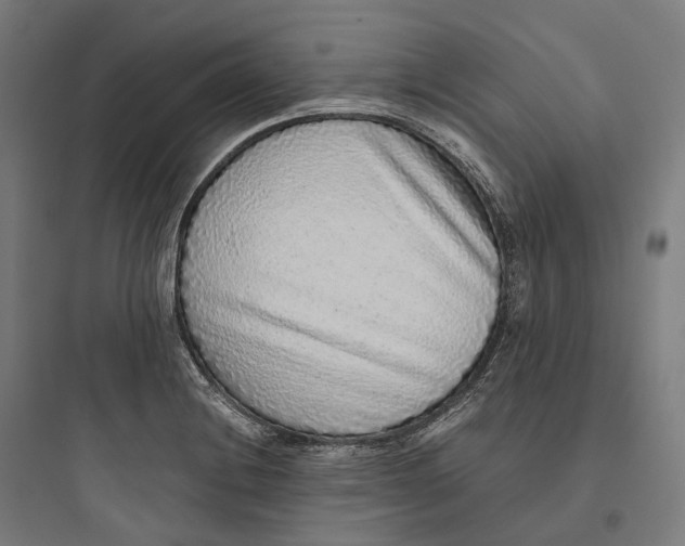 X0000093771228200711061126