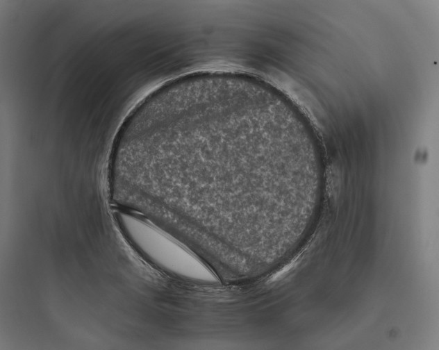 X0000093771229200711061126