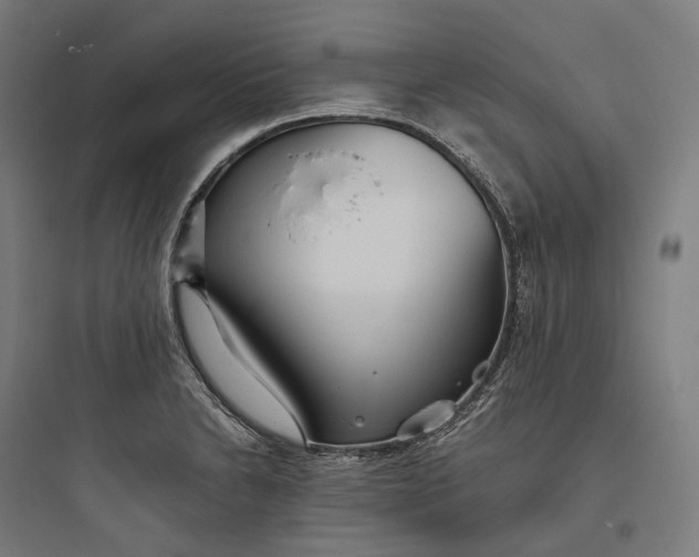 X0000093771230200711061126