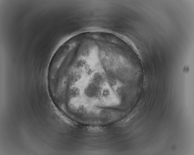 X0000093771231200711061126