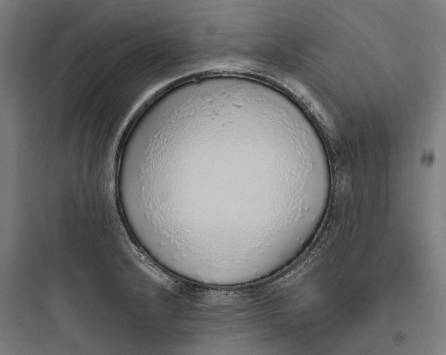 X0000093771232200711061127