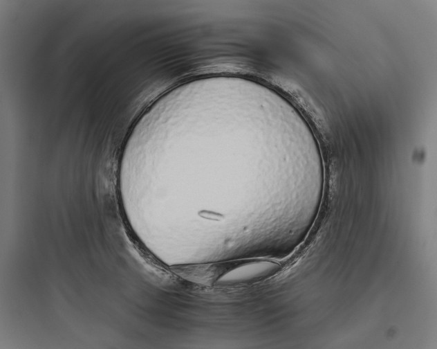 X0000093771233200711061127