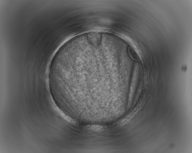 X0000093771235200711061127