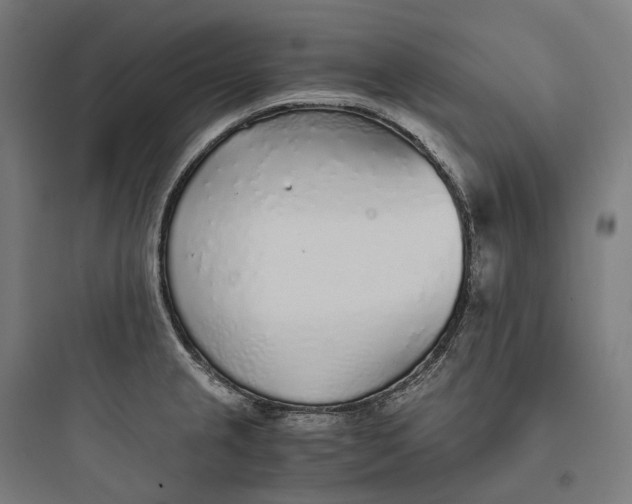 X0000093771237200711061127