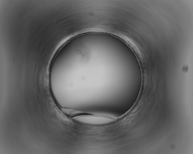 X0000093771238200711061127