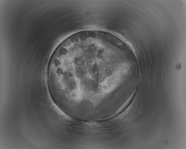 X0000093771239200711061127