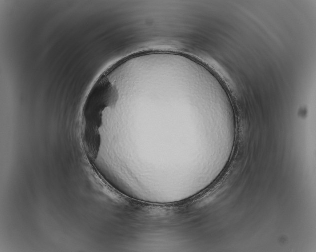 X0000093771240200711061127