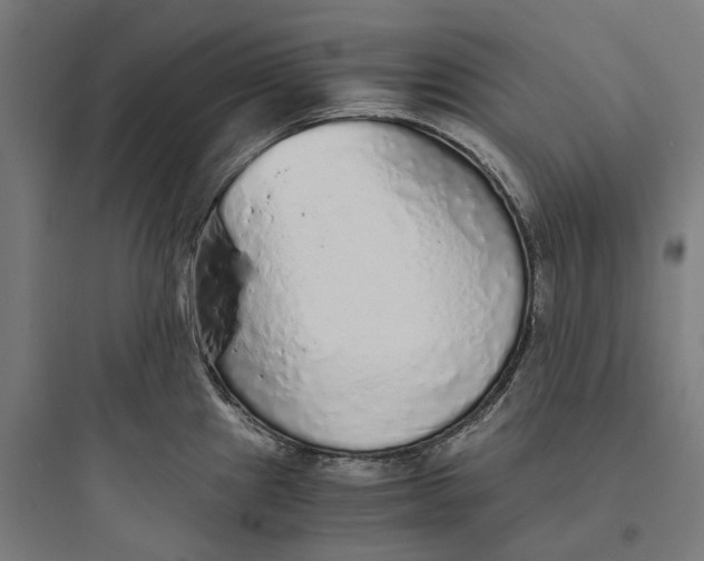 X0000093771241200711061127