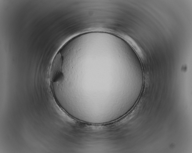 X0000093771244200711061127