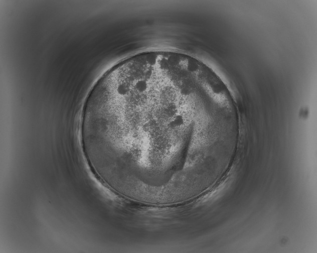 X0000093771245200711061127