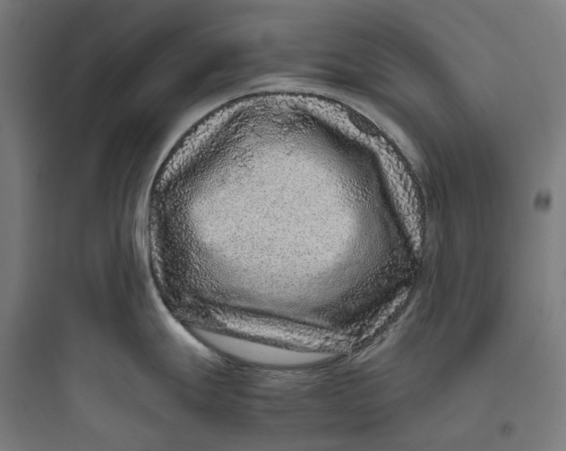 X0000093771247200711061127