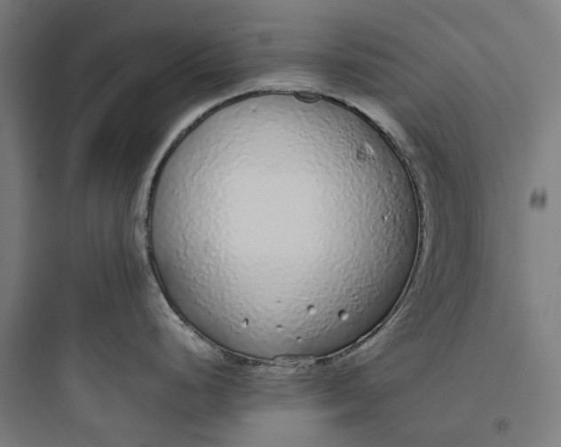 X0000093771248200711061127