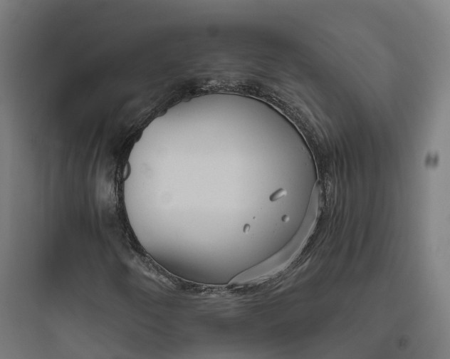 X0000093771250200711061126