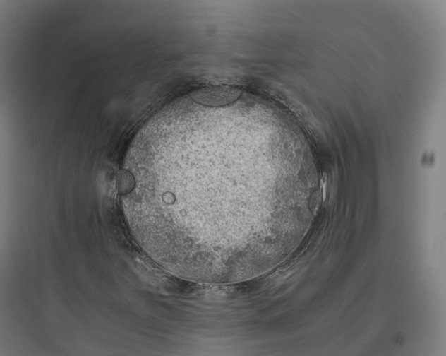 X0000093771251200711061126