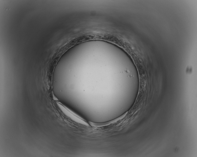 X0000093771253200711061126