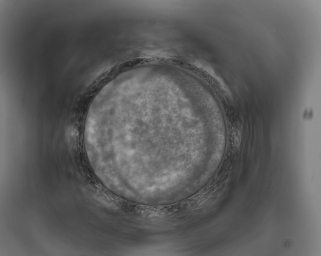 X0000093771254200711061126