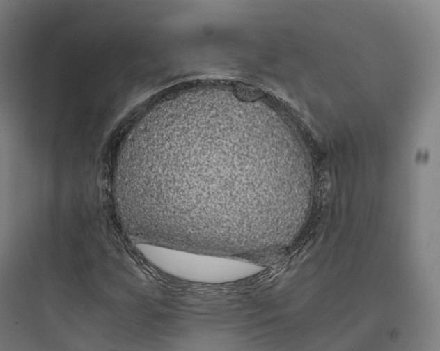 X0000093771255200711061126