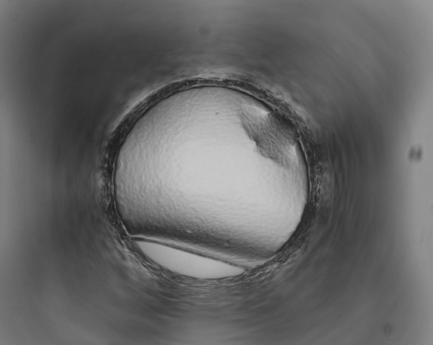 X0000093771256200711061126