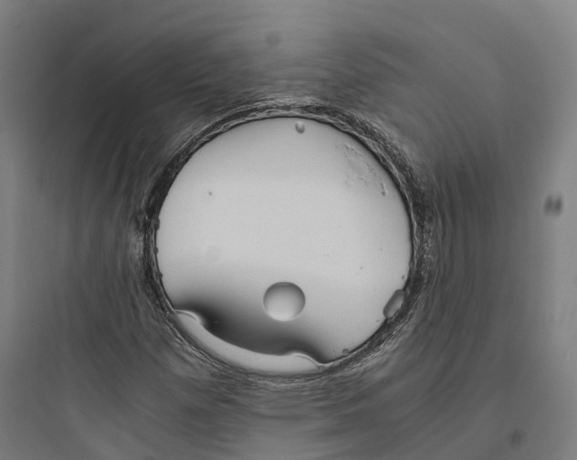 X0000093771257200711061126