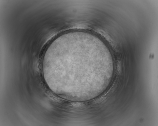 X0000093771258200711061126