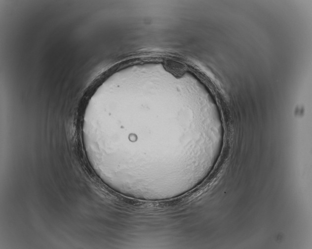 X0000093771259200711061126